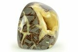 Polished Druzy Crystal Filled Septarian Nodule - Utah #272916-2